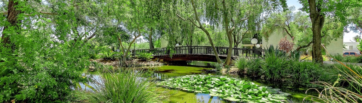 Bridgewood-North_3-1500x430