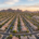 Best Zip Codes to Buy a Home in Phoenix: Top Areas To Know - Natan Jacobs Real Estate Group | Multifamily Real Estate Brokerage